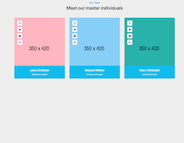 Bootstrap example and template. Meet our master individuals