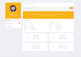 Bootstrap example and template. user profile bio graph and total sales