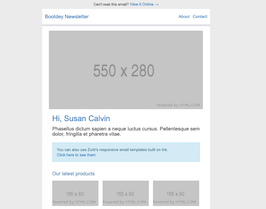 Bootstrap example and template. Newsletter grey email