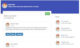 Bootstrap example and template. Social network wall