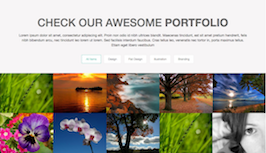 Bootstrap example and template. Awesome portfolio