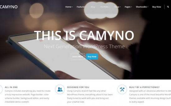 Bootstrap Camyno Premium WordPress Theme template