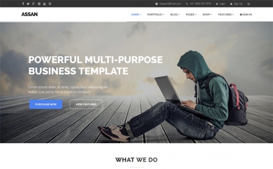 Bootstrap Assan The Most Clean Powerful HTML5 Template template