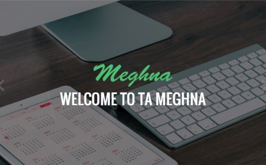 Bootstrap TA Meghna Free Multi Purpose WordPress Theme template